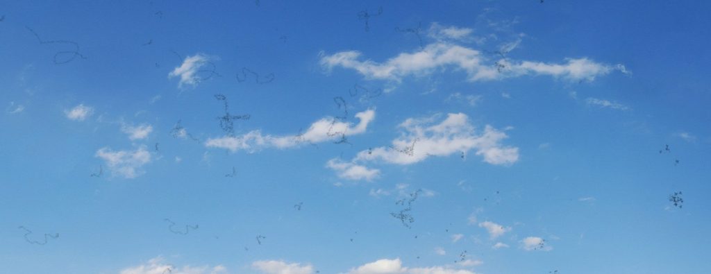 علاج رؤية خيالات سوداء أمام العين|